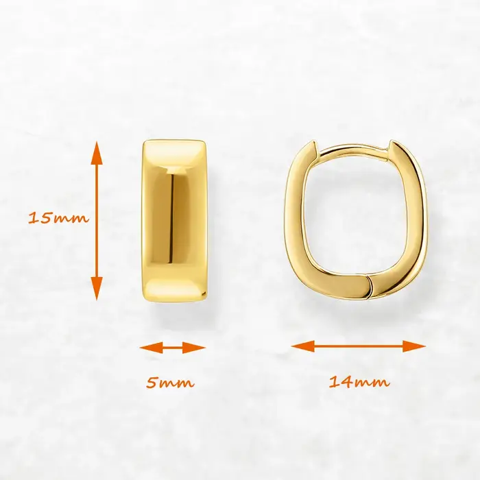 Boucles d'oreilles créoles à charnière créole