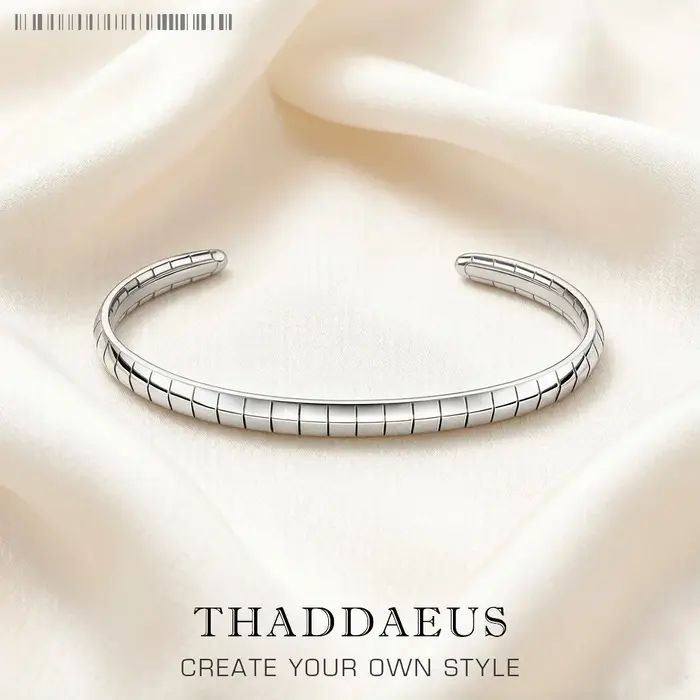 Bracelet serpent en argent Sterling 925, bijoux fins de Style européen pour femmes, tout nouveau cad