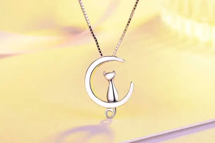 Collier en argent Sterling 925 pour femmes