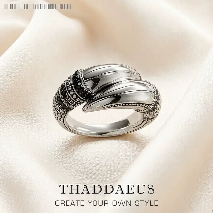 Bague à griffes en argent sterling 925, bijoux fins vintage européens pour hommes, cadeau rébellions