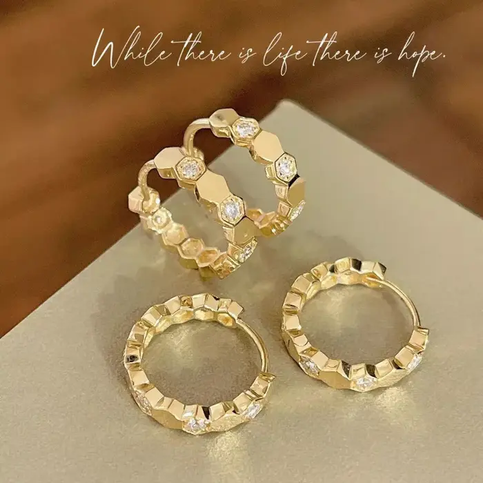 Boucles d'oreilles simples et luxueuses
