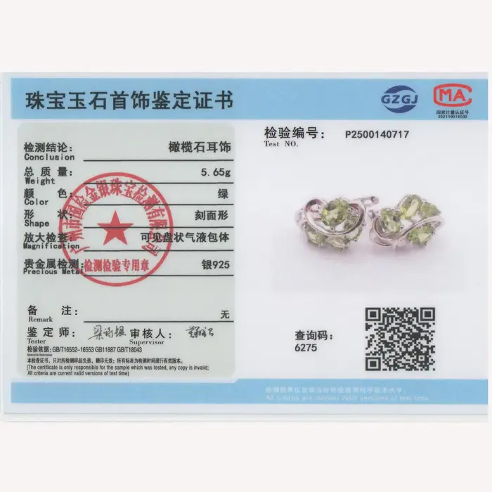 Boucles d'oreilles en argent sterling 925 avec fermoir