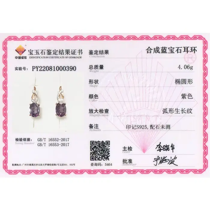 Boucle d'oreille élégante en argent Sterling 925
