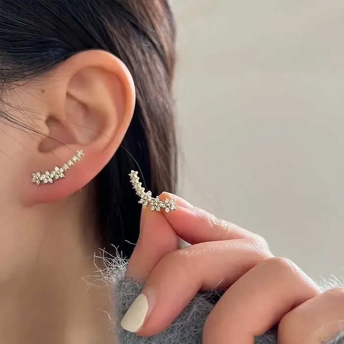 Boucles d'oreilles en Zircon pour femmes