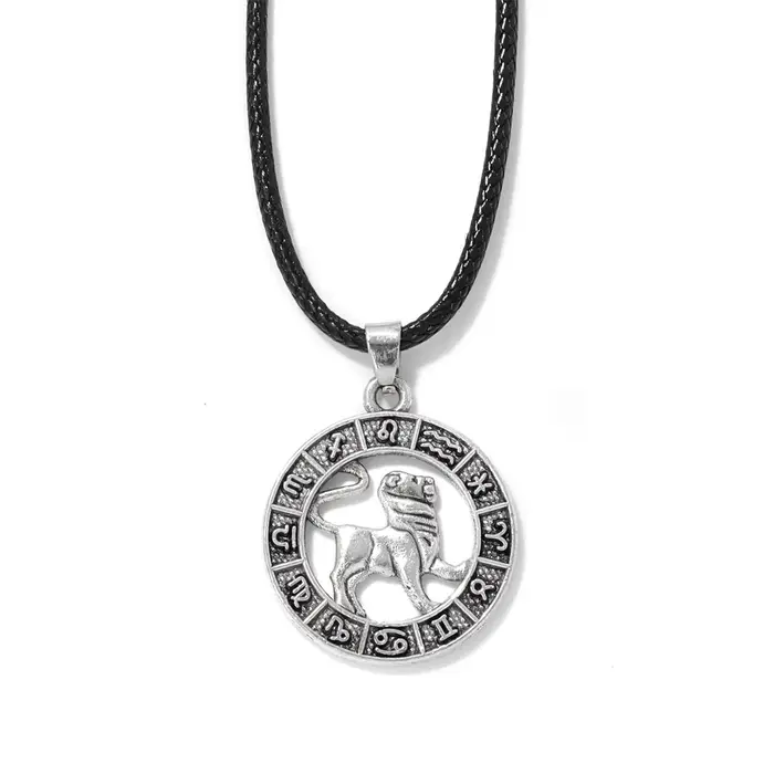Collier pendentif signe du zodiaque pour hommes et femmes