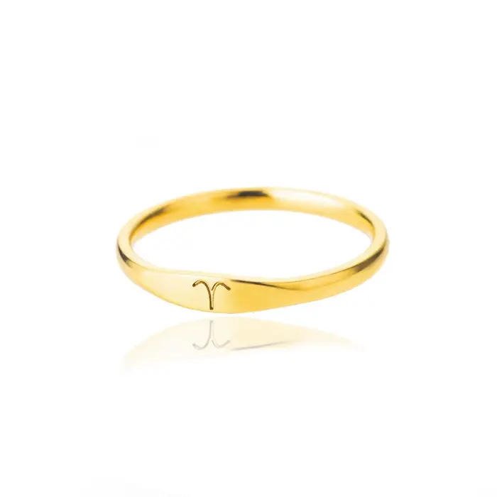 Petite bague signe du zodiaque pour femmes, en acier inoxydable, couleur or, Constellation, Gemini, 