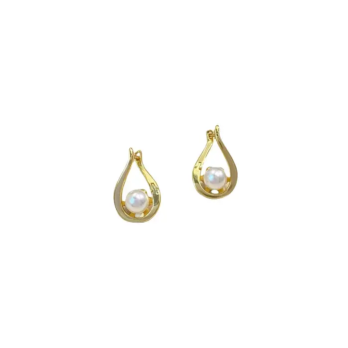 Boucles d'oreilles en argent regardé 925 pour femme