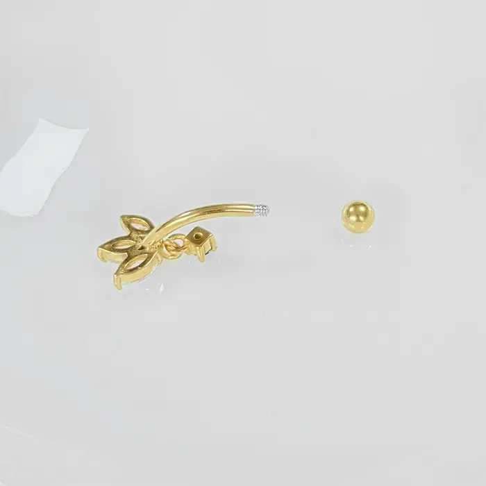 Rook piercing papillon oreille Cartilage sourcil Tragus Helix