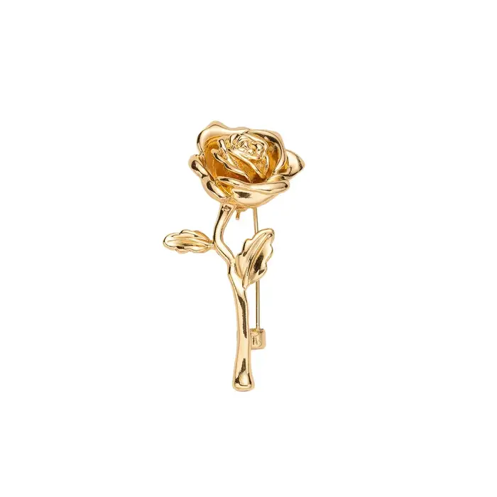 Broche de luxe couleur or pour hommes et femmes – Épingle à revers pour manteau de costume haut de g