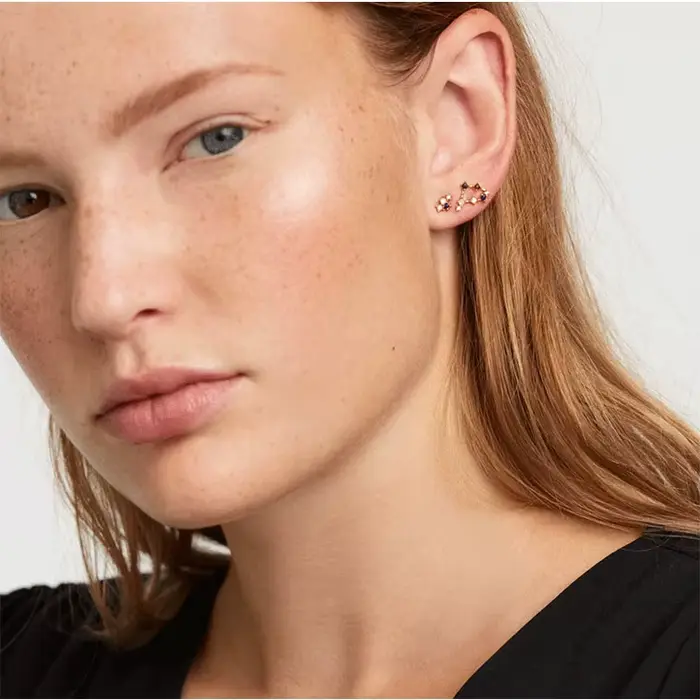 Boucles d'oreilles série douze Constellations en argent Sterling 925