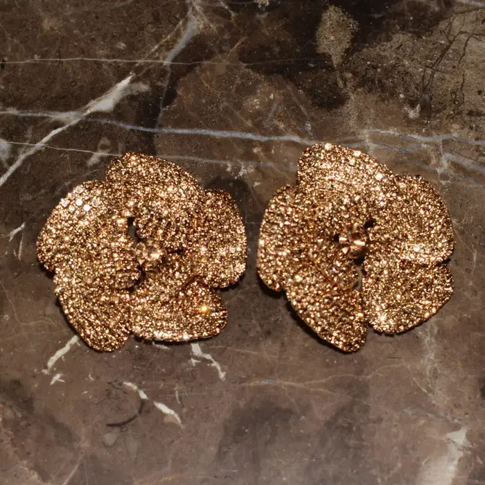 Boucles d'Oreilles en Strass Brillants pour Femme