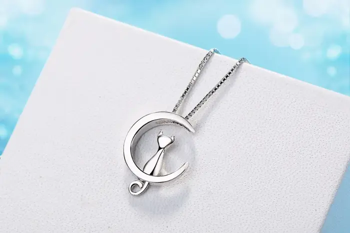 Collier en argent Sterling 925 pour femmes
