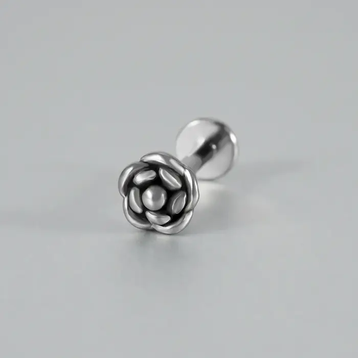 Dreamlee-Boucles d'Oreilles en Acier avec Vis Intérieure, Piercing Labret à Dos pio, 16g