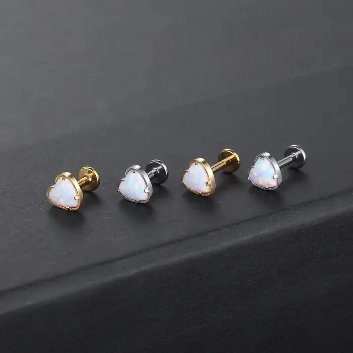 Boucles d'oreilles en titane