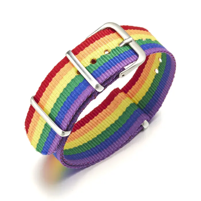 Bracelet tressé arc-en-ciel pour femmes et hommes, bijoux de fête d'amour, à la mode, cadeau réglabl