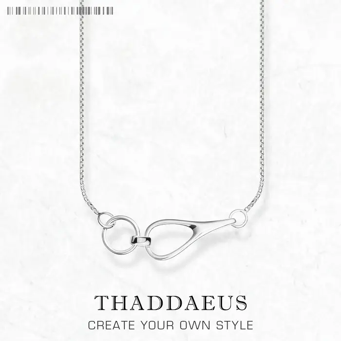 Collier Heritage hiver flambant neuf classique bijoux fins Europe 925 en argent Sterling cadeau pour