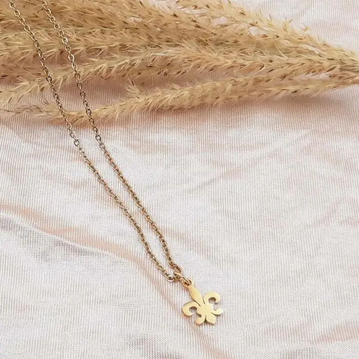 Collier Fleur De Lis en acier inoxydable