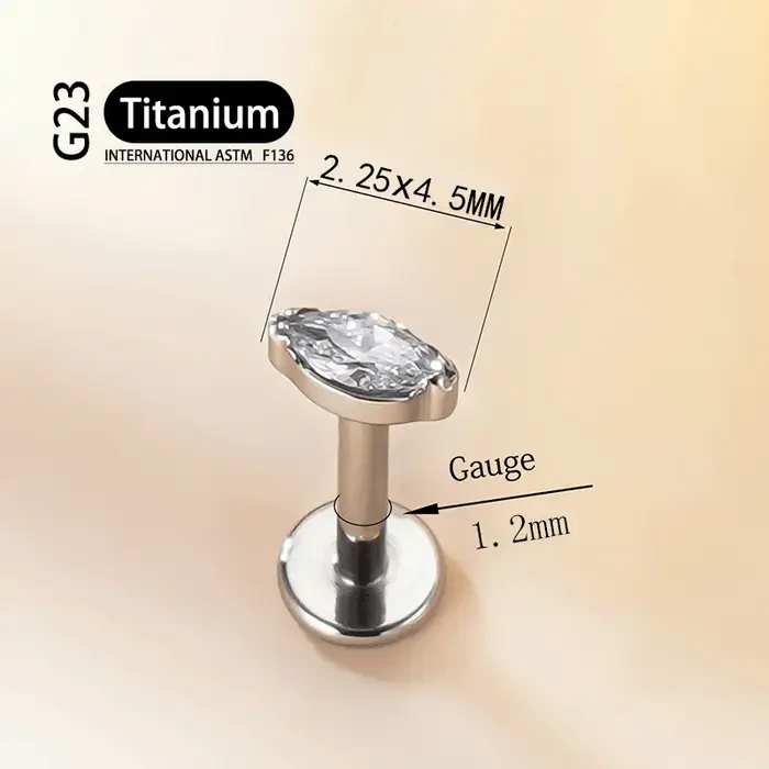Boucles d'oreilles en titane G23