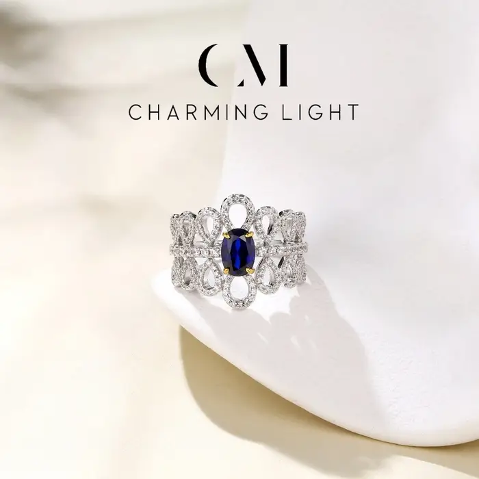 Charmant luxe créé saphir bague 925 en argent Sterling rubis creux anneau pour les femmes de mariage Fine mode bijoux cadeaux nouveau 2025