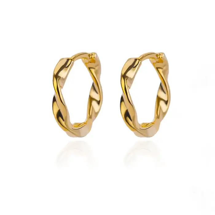 Boucles d'oreilles rondes élégantes pour femmes et filles, créoles de luxe en acier inoxydable, Vint